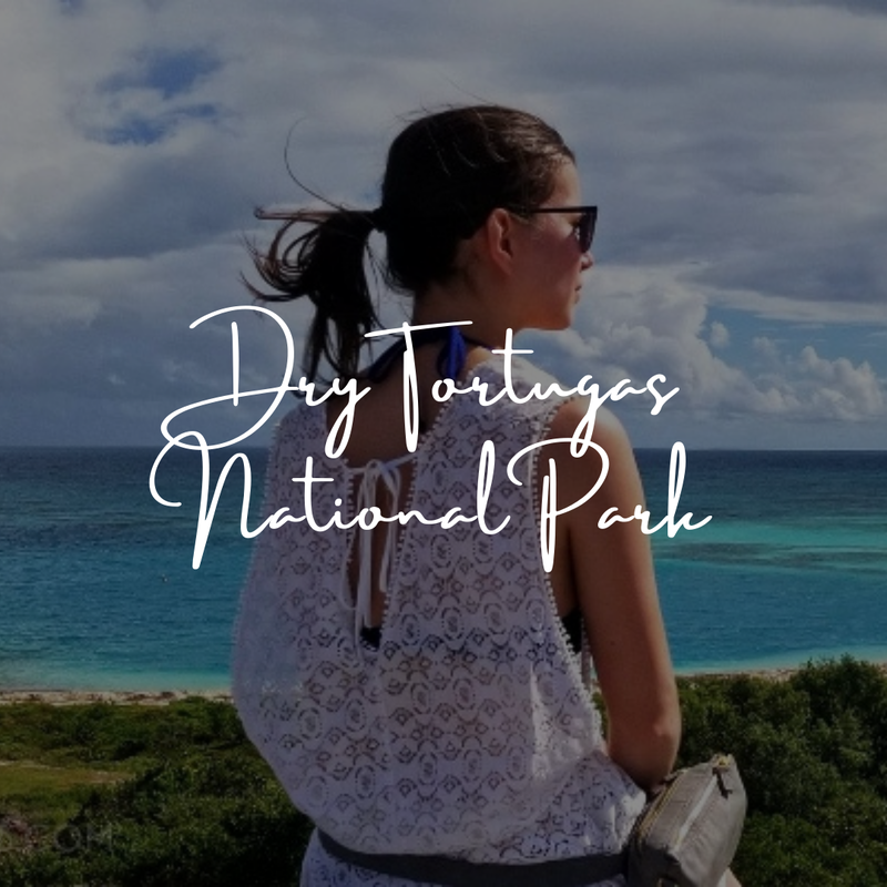 Day Trip to the Dry Tortugas