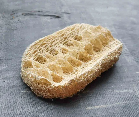 Loofah Dishwashing Sponge